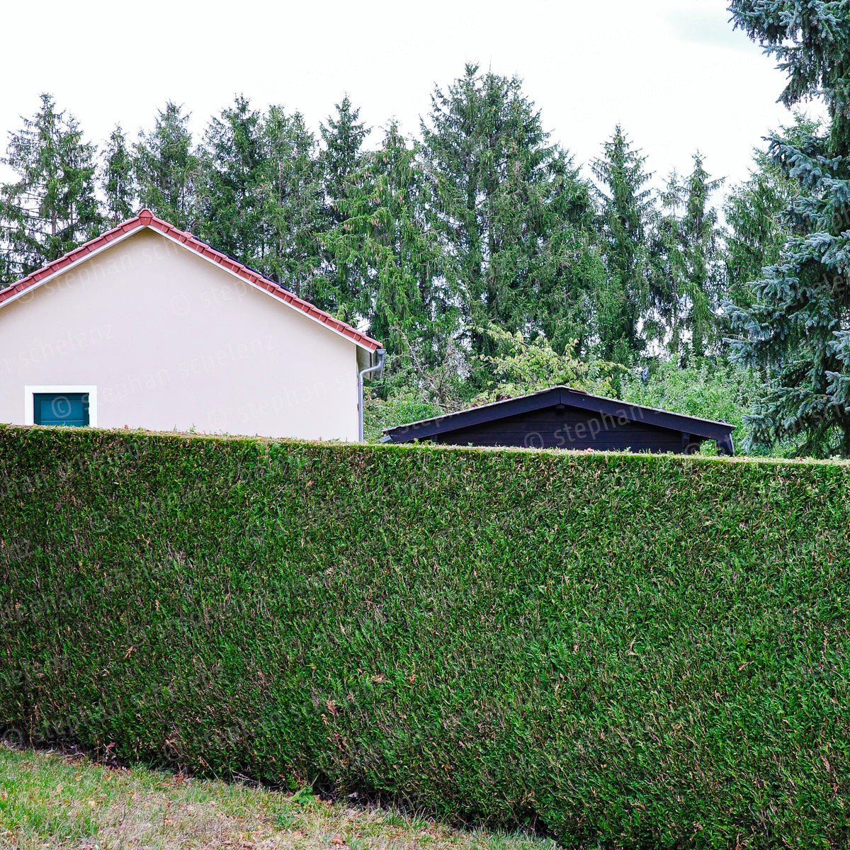paarbilder_3 sale