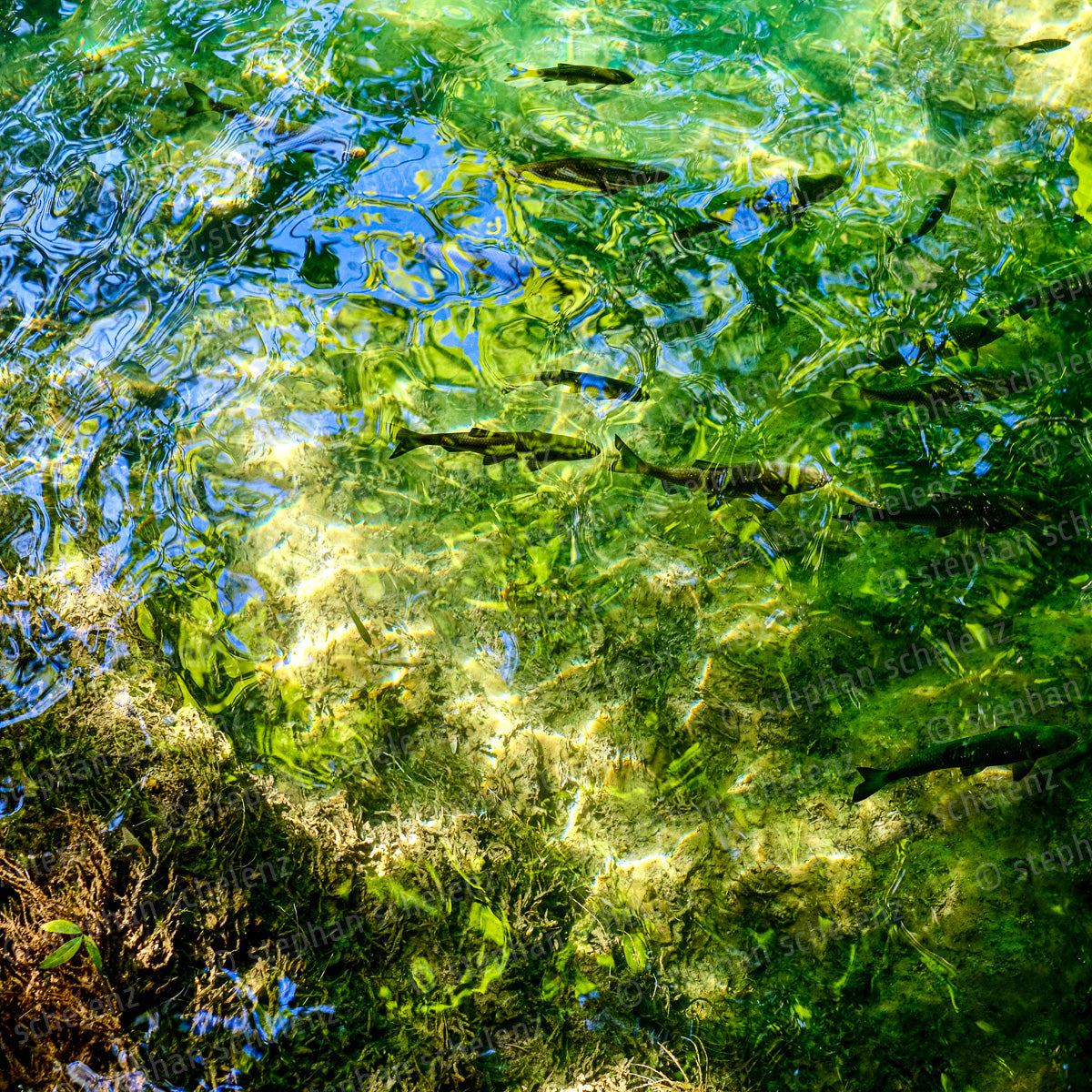 paarbilder_14