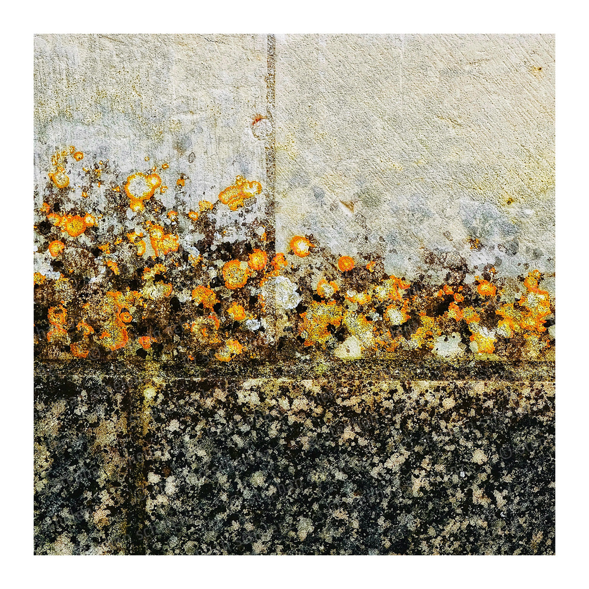 close_10