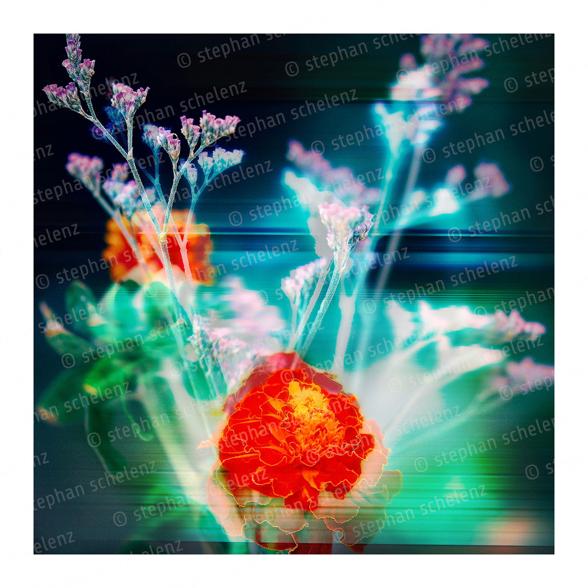 fotografik_2