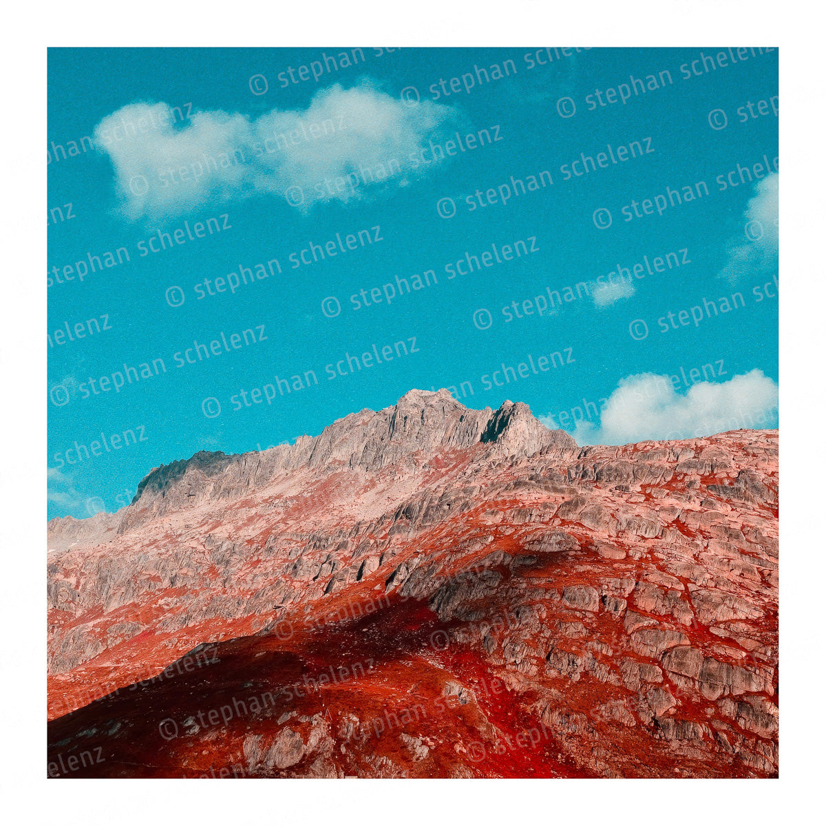 fehlfarben_09