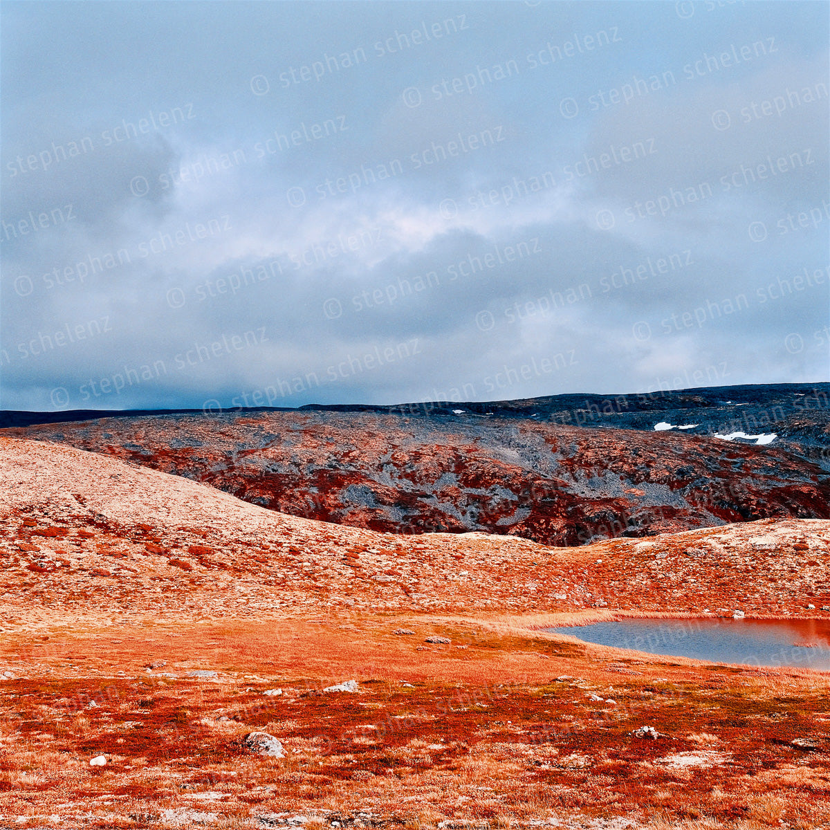 fehlfarben_07