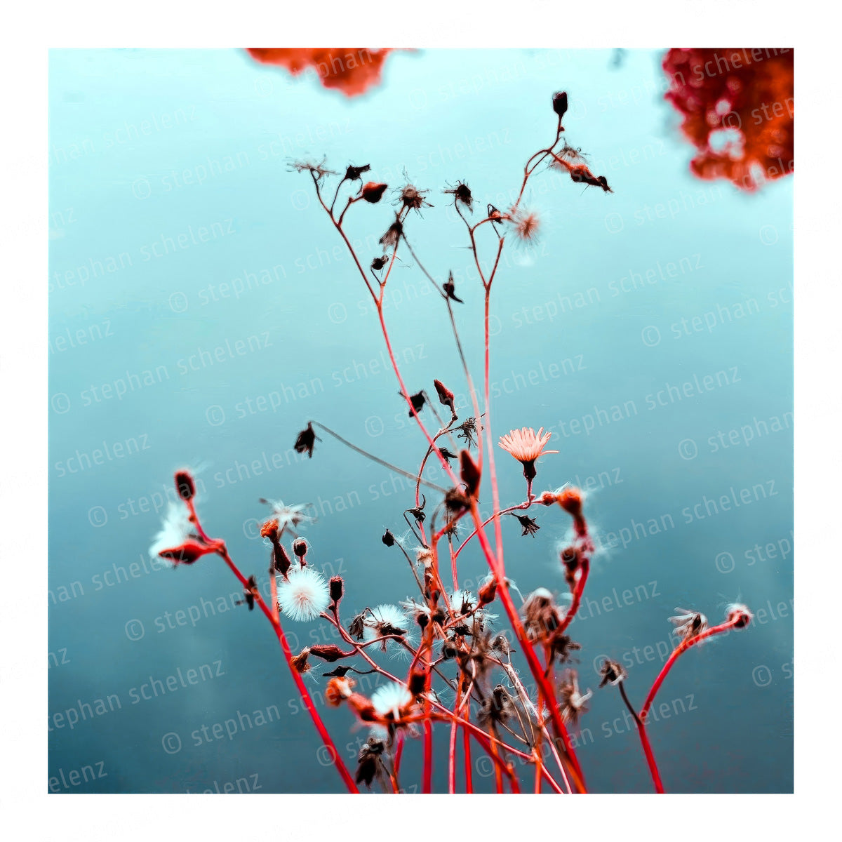 fehlfarben_15