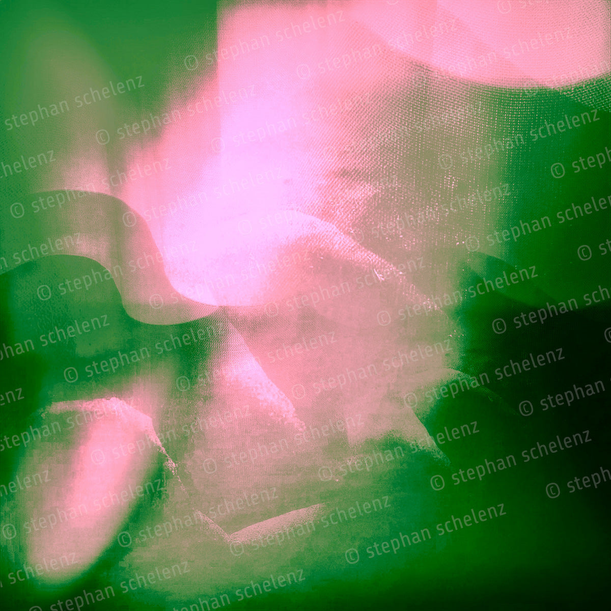 fotografik_25