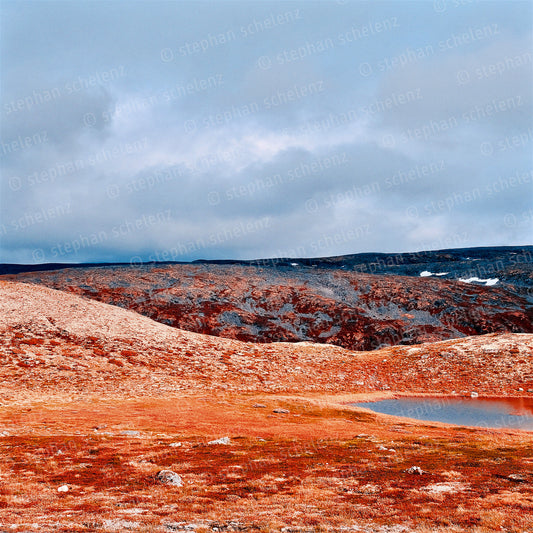 fehlfarben_07