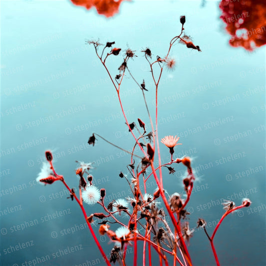 fehlfarben_15